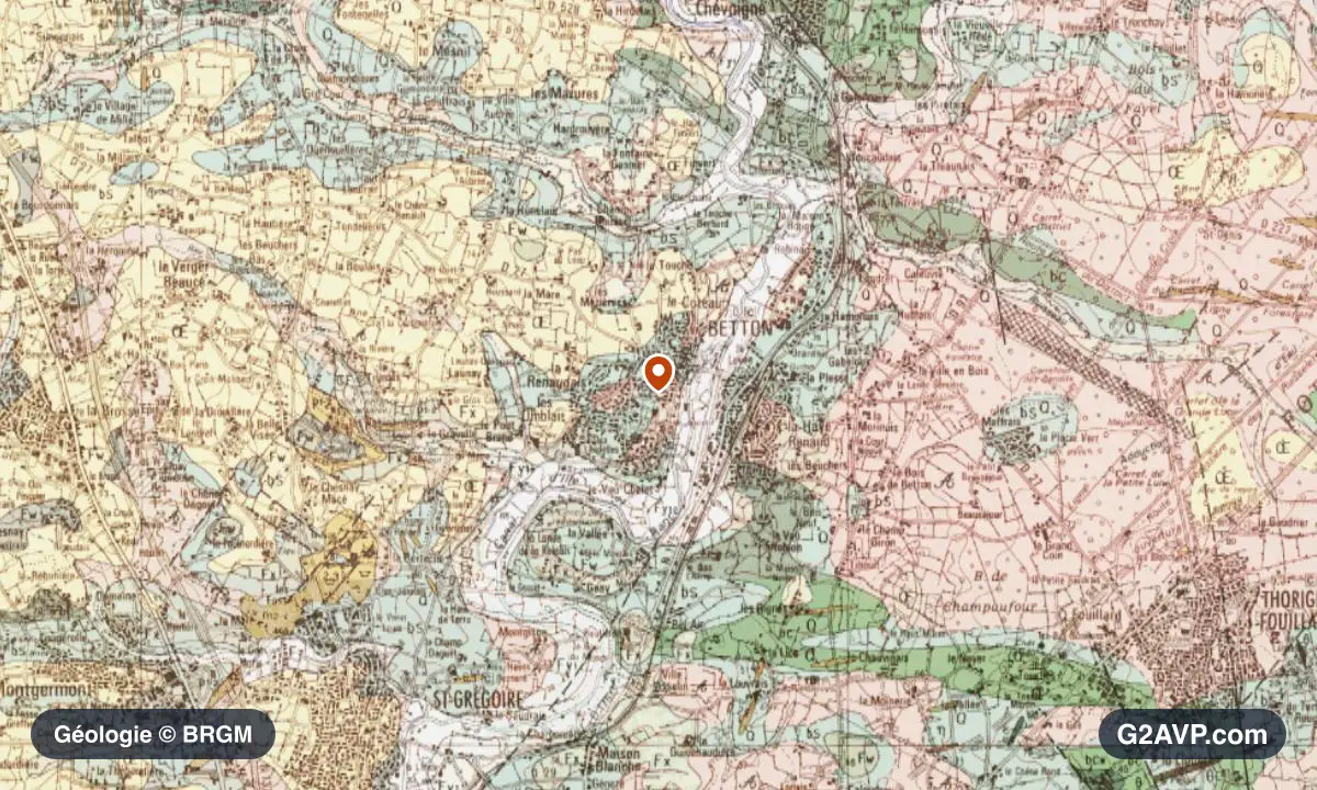 Carte géologique BRGM au 1/50 000 du secteur de Betton : schistes et grès en formations dominantes, repère au centre de la commune
