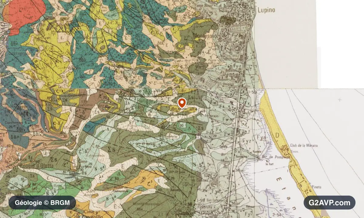 Carte géologique BRGM au 1/50 000 du secteur de Furiani : schistes et grès en formations dominantes, repère au centre de la commune
