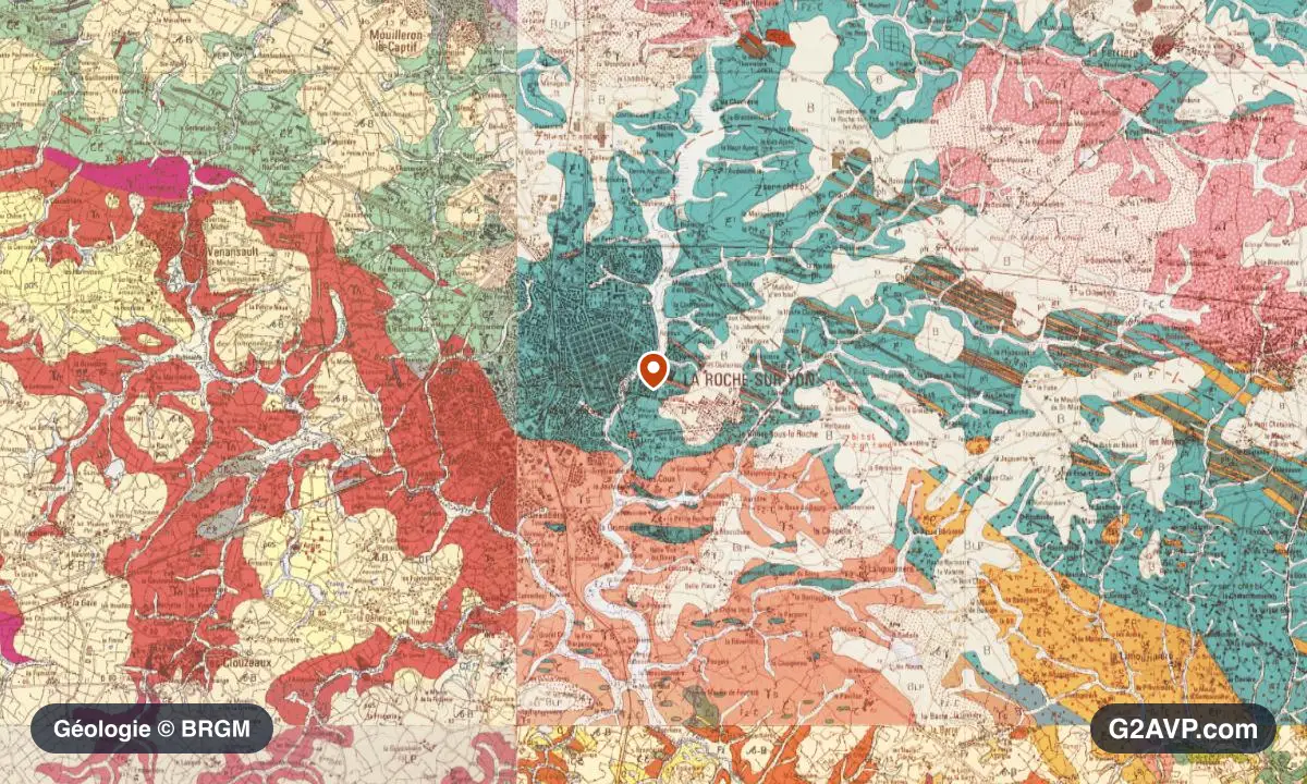 Carte géologique BRGM au 1/50 000 du secteur de La Roche-sur-Yon : granites en formations dominantes, repère au centre de la commune
