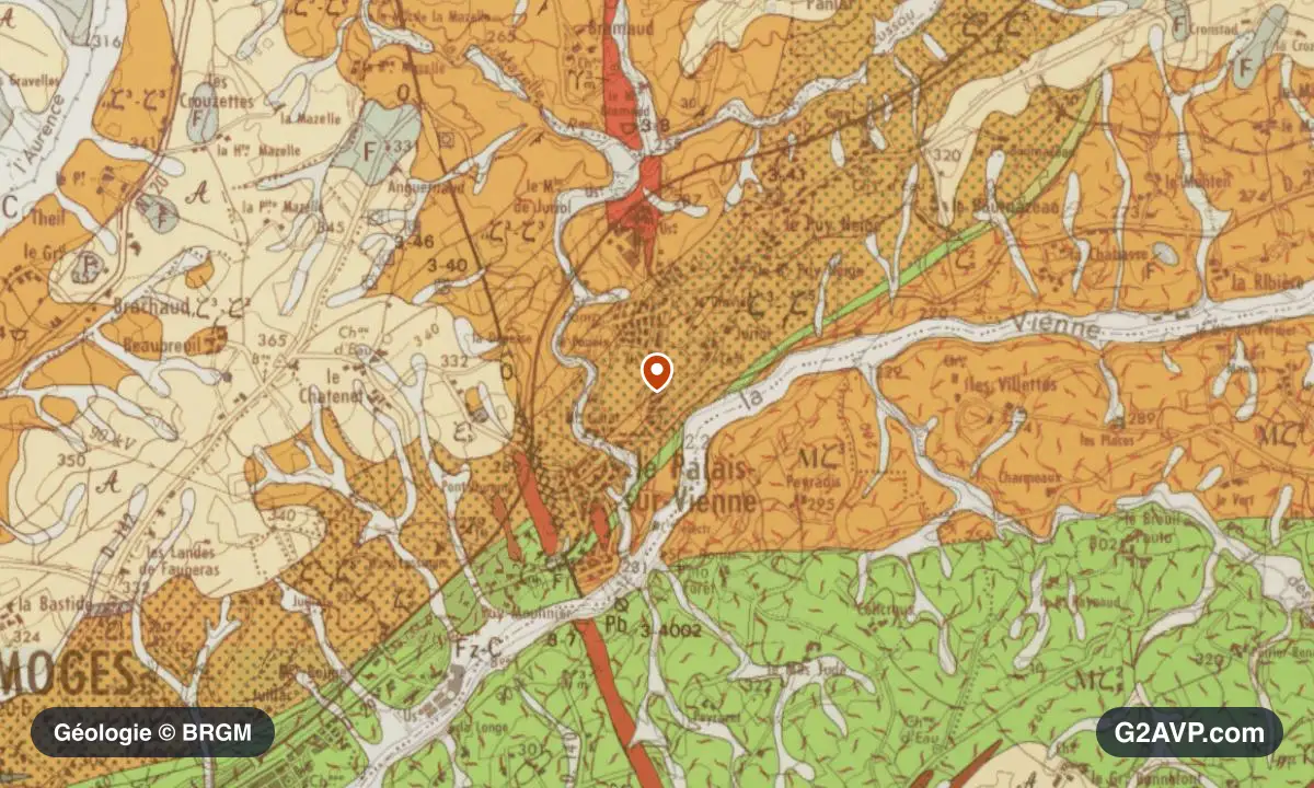 Carte géologique BRGM au 1/50 000 du secteur du Palais-sur-Vienne : gneiss en formations dominantes, repère au centre de la commune