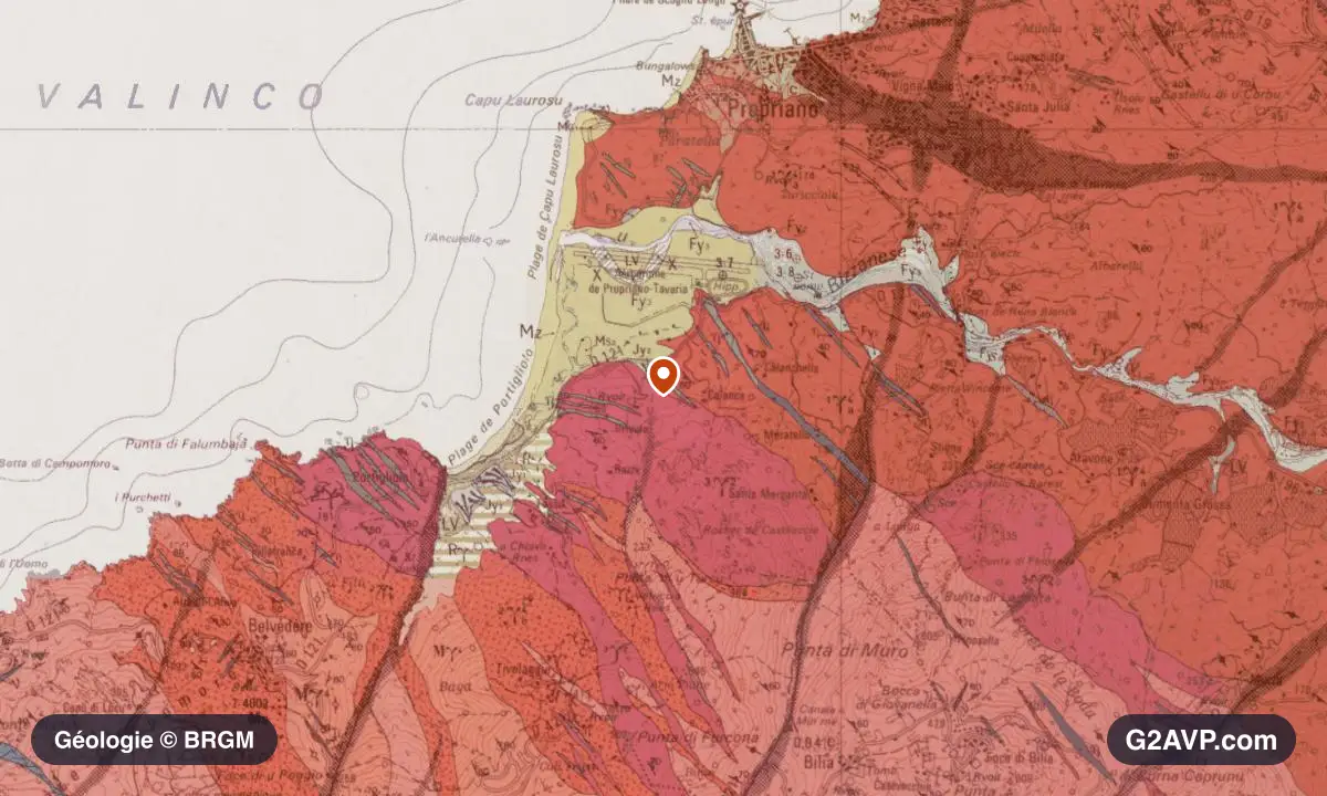 Carte géologique BRGM au 1/50 000 du secteur de Propriano : granites en formations dominantes, repère au centre de la commune