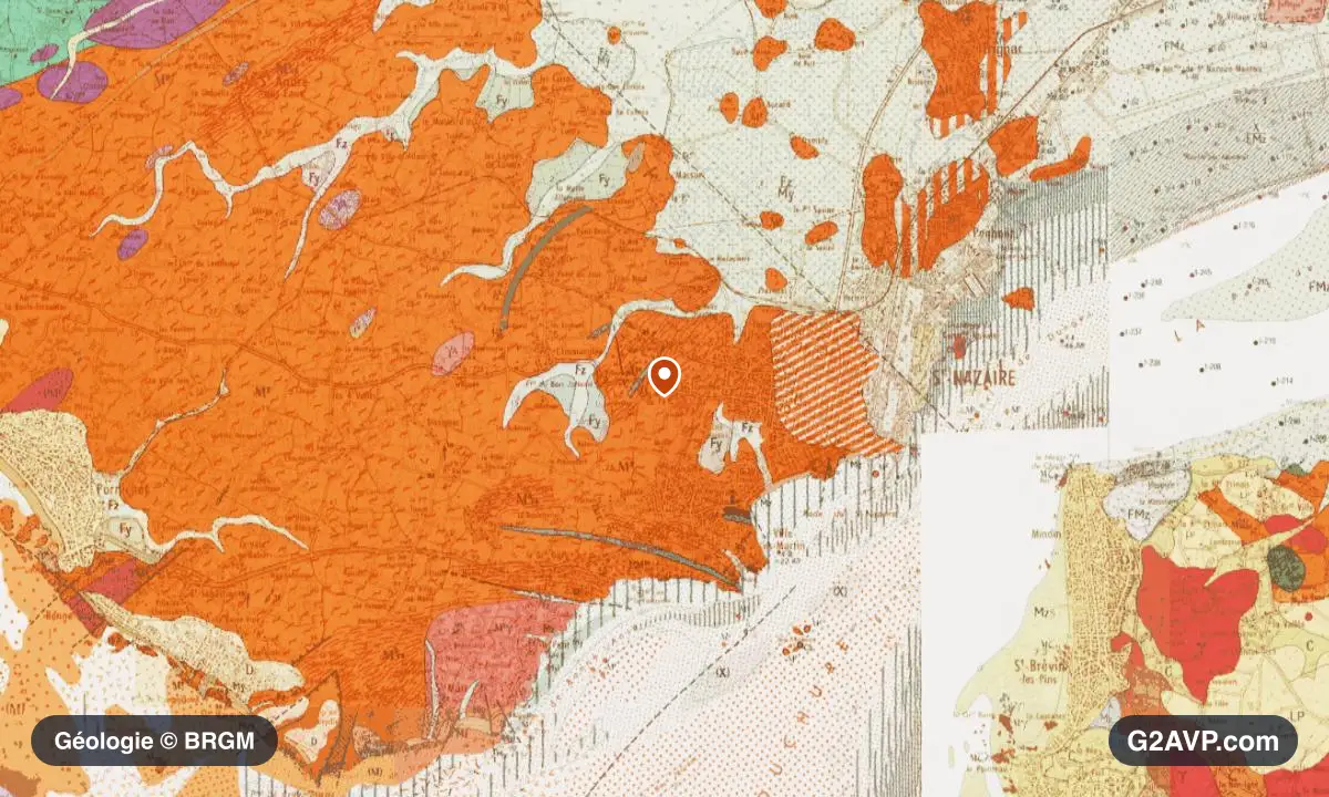 Carte géologique BRGM au 1/50 000 du secteur de Saint-Nazaire : gneiss en formations dominantes, repère au centre de la commune