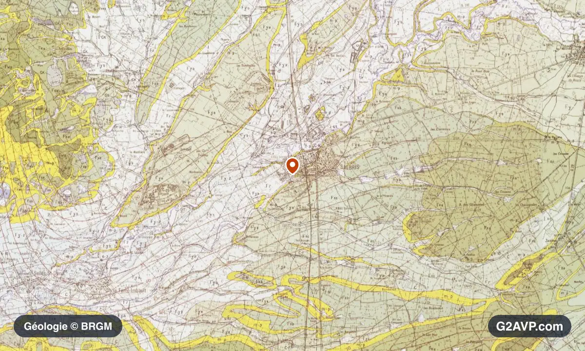 Carte géologique BRGM au 1/50 000 du secteur de Salbris : argiles en formations dominantes, repère au centre de la commune