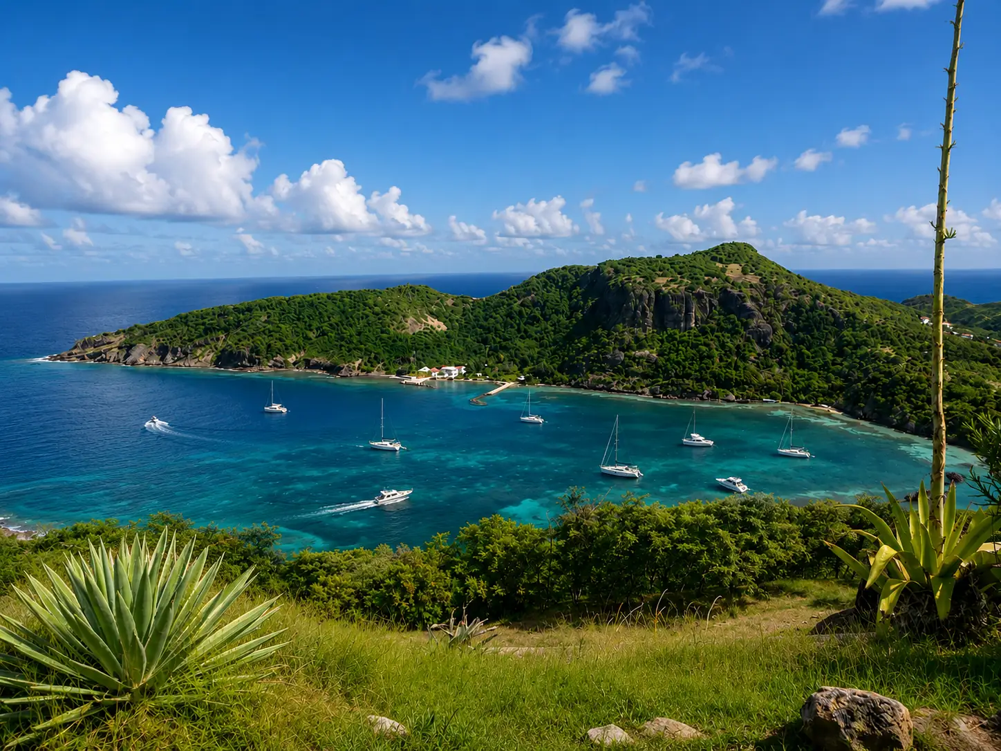 Baie abritée d'un morne volcanique de Guadeloupe — versants boisés, récif frangeant et mouillage
