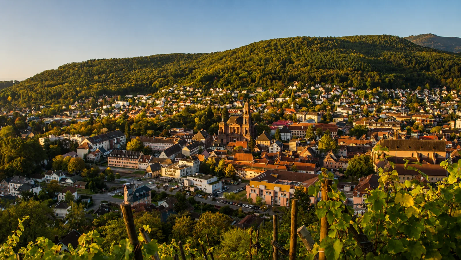 Guebwiller vue des vignes — la ville étirée au débouché du Florival, entre coteaux viticoles et versants boisés des Vosges