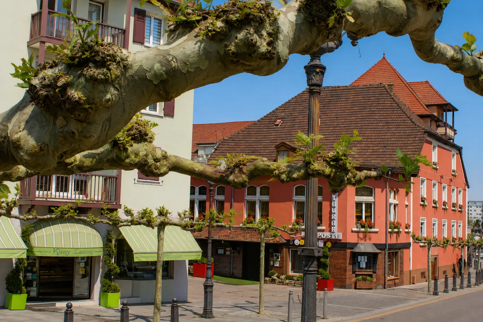 Le centre de Riedisheim et ses platanes taillés — commerces et façades du bourg, aux portes de Mulhouse